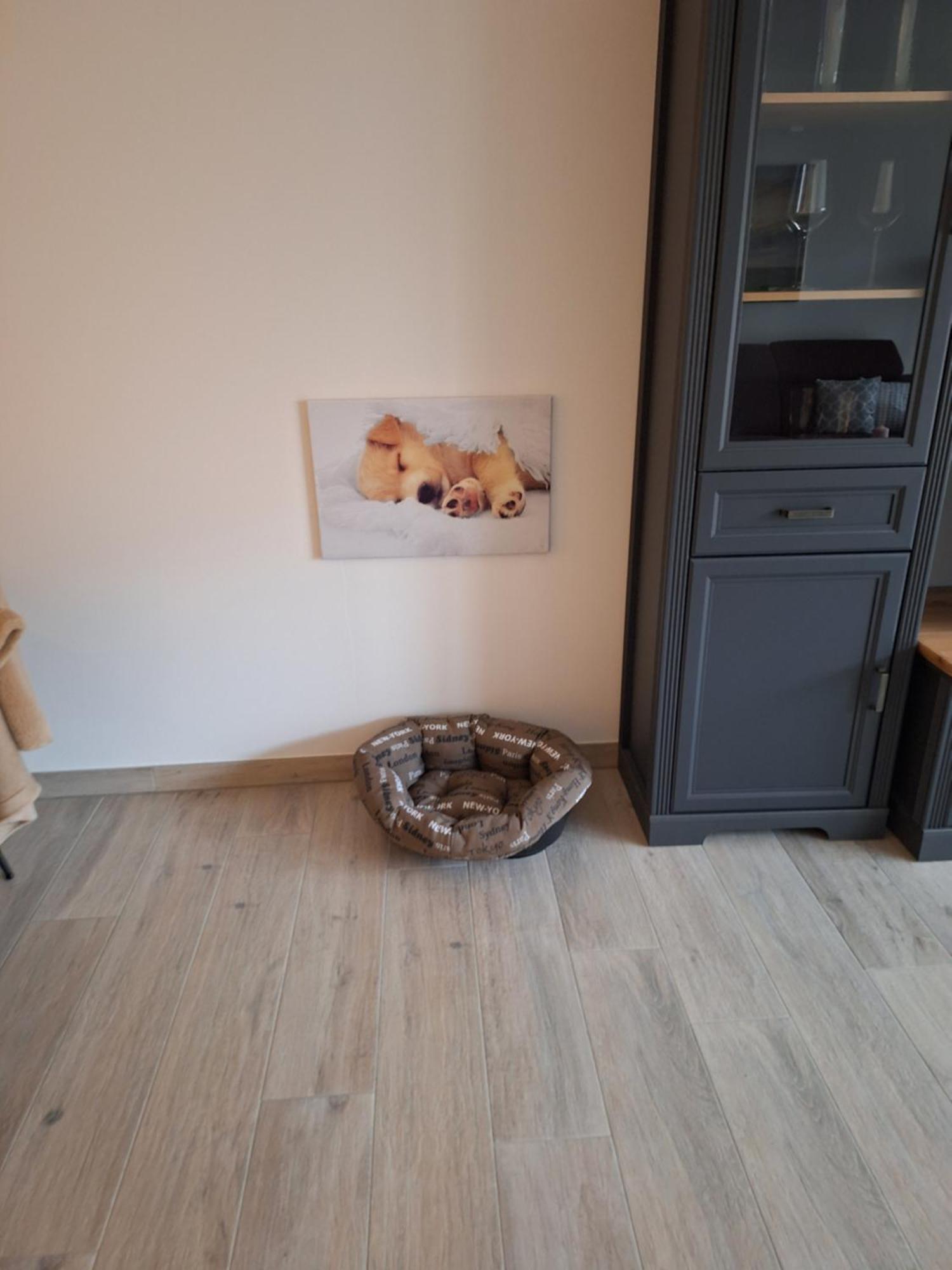 Annies Deichliebe Krummhoern