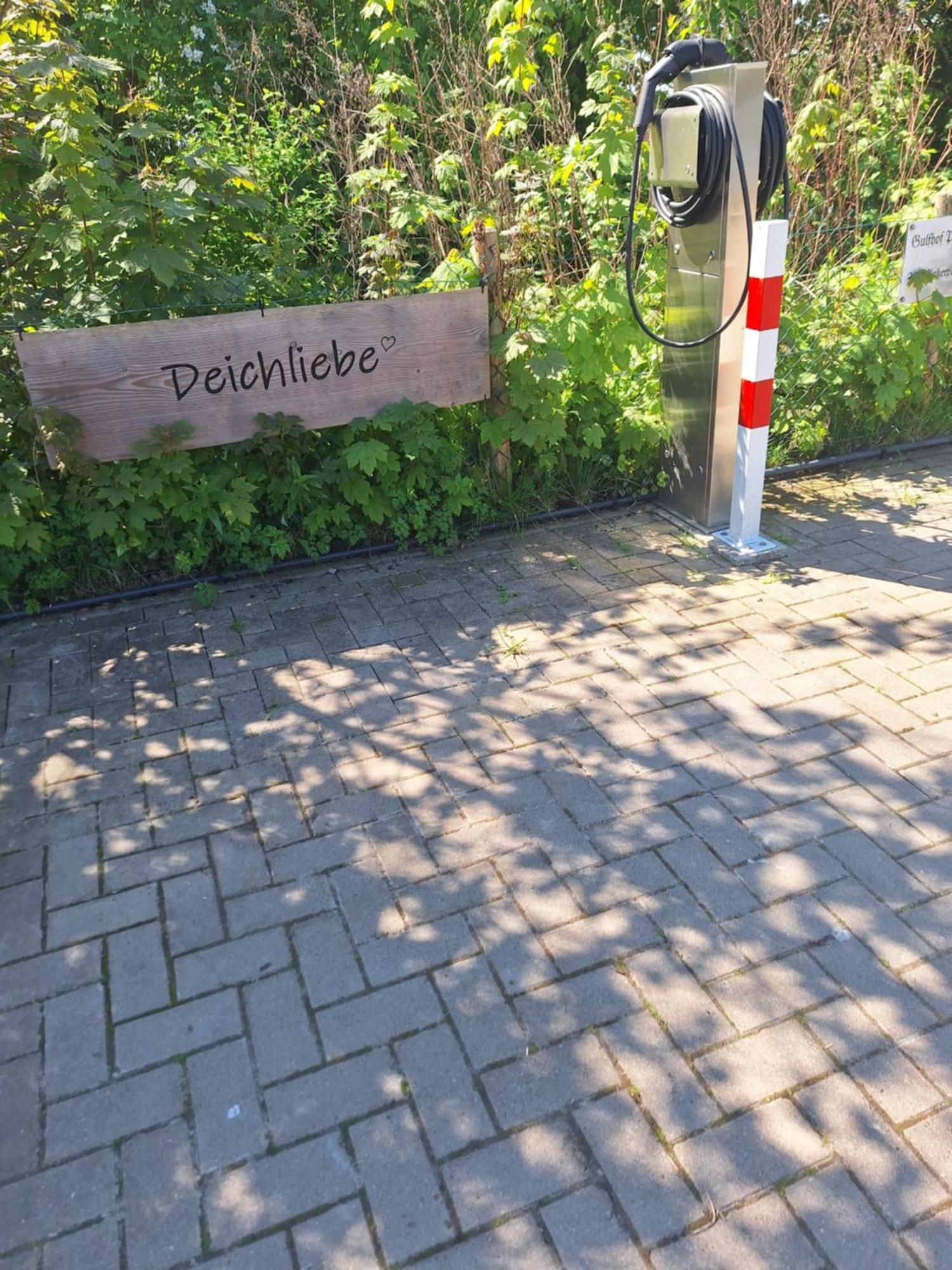 Annies Deichliebe Krummhoern